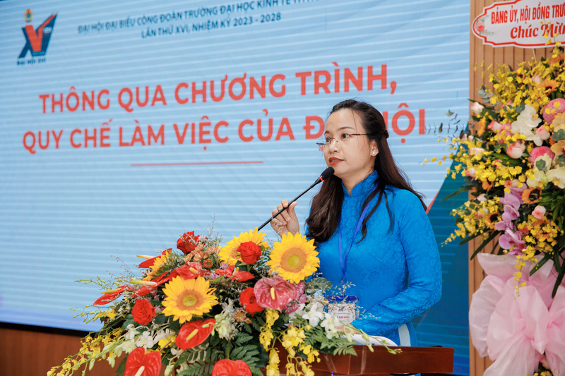 cá cược thể thao hul city